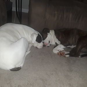 Meet your Posher, Pamela